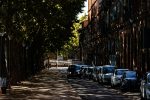 cars parked on sidewalk near trees and buildings during daytime