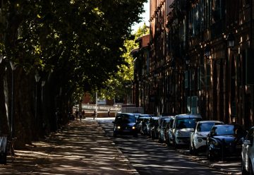 cars parked on sidewalk near trees and buildings during daytime