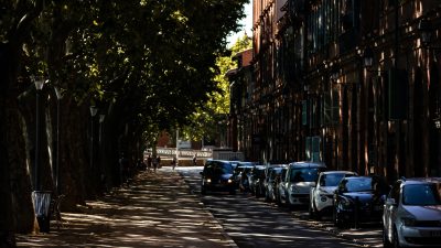 cars parked on sidewalk near trees and buildings during daytime