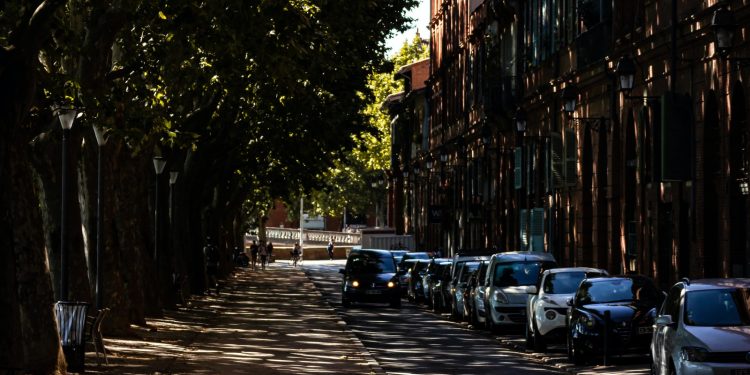 cars parked on sidewalk near trees and buildings during daytime