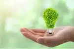 5 raisons de passer à un fournisseur d'électricité verte pour un impact environnemental positif