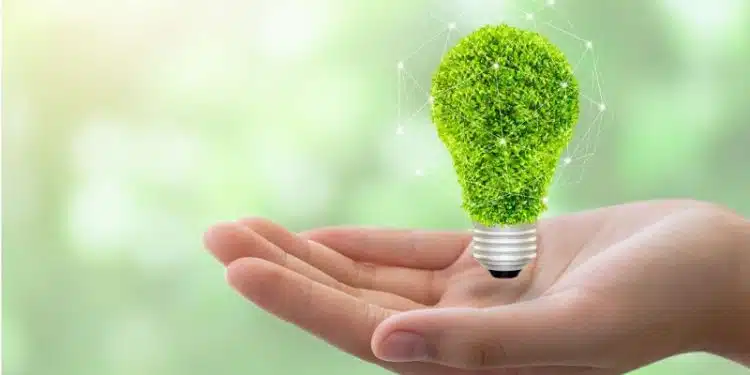 5 raisons de passer à un fournisseur d'électricité verte pour un impact environnemental positif