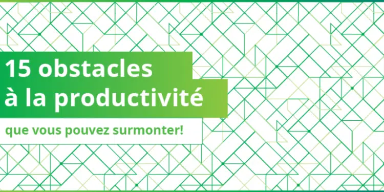 Infographie : 15 obstacles à la productivité