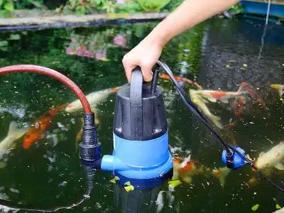 Les choses à considérer lors du choix des meilleures pompes à eau grandes marques pour votre jardin et vos systèmes de relevage d'eau de pluie