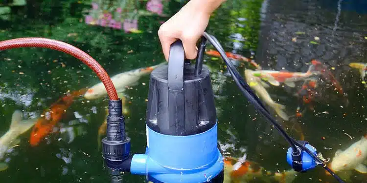 Les choses à considérer lors du choix des meilleures pompes à eau grandes marques pour votre jardin et vos systèmes de relevage d'eau de pluie