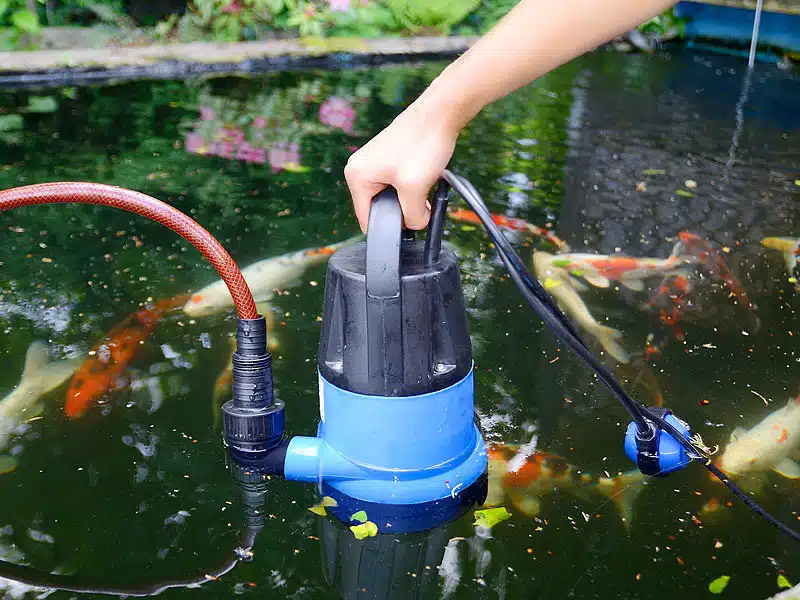 Les choses à considérer lors du choix des meilleures pompes à eau grandes marques pour votre jardin et vos systèmes de relevage d'eau de pluie