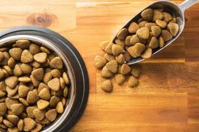 croquettes pour chien