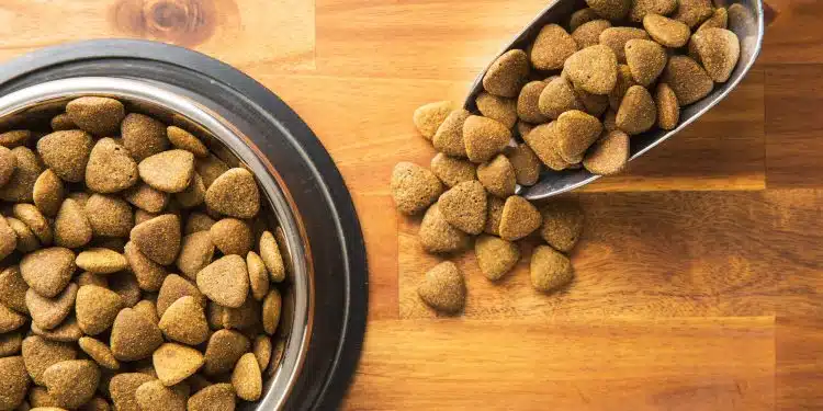 croquettes pour chien