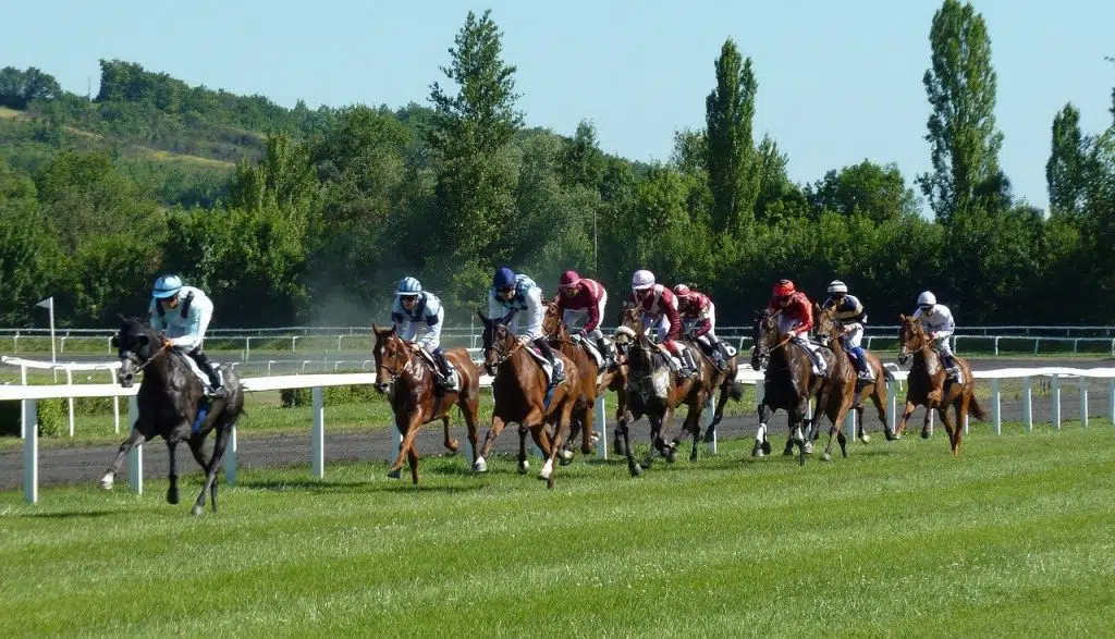 course de chevaux