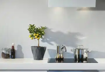 Mobil-home haut de gamme : un choix d'exception pour une habitation tout confort !