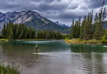 Pêcheur à la mouche en eau vive