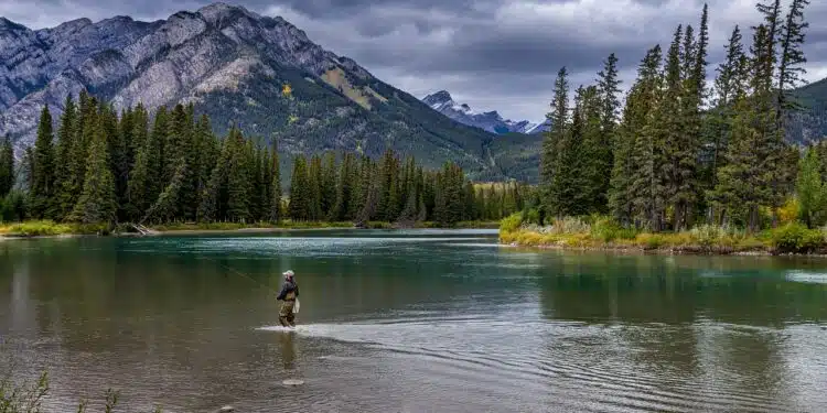 Pêcheur à la mouche en eau vive