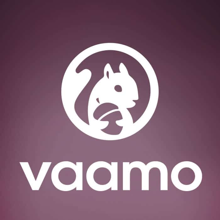 vaamo logo